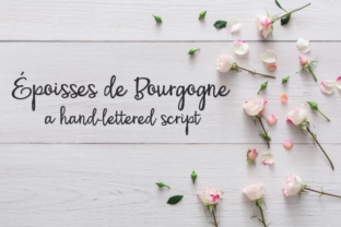 PN Époisses De Bourgogne: A Web Designer’s Font Pick
